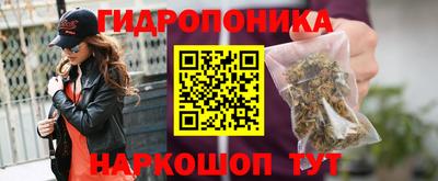 не бодяженный Кингисепп