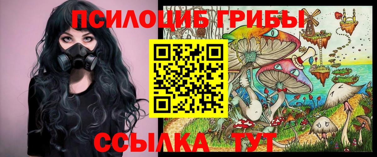 Галлюциногенные грибы прущие грибы  Вход с VPN  цены   Кохма 