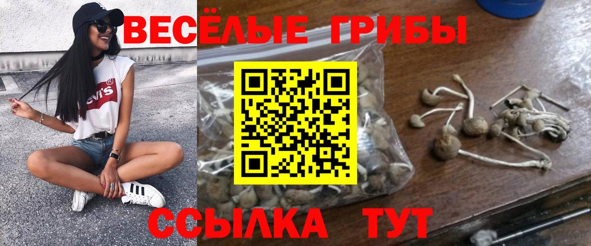 Галлюциногенные грибы прущие грибы Кохма